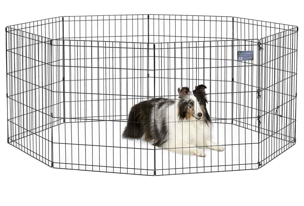 best wireless dog fence for large dogs